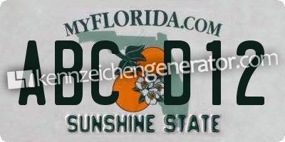 Kennzeichen Florida USA